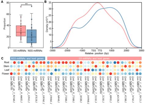 Ijms Free Full Text Identification Of Species Specific Micrornas