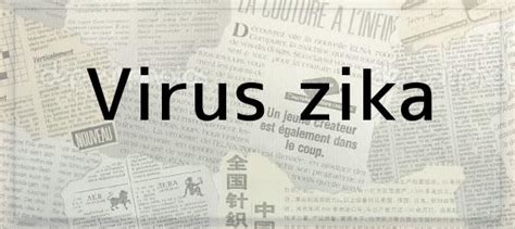 Virus Zika Gr Ficos Que Te Ayudar N A Entender Qu Es El Virus Del