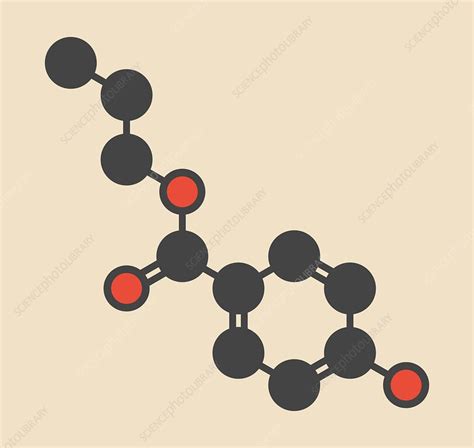 Propylparaben preservative molecule - Stock Image - F012/6280 - Science ...