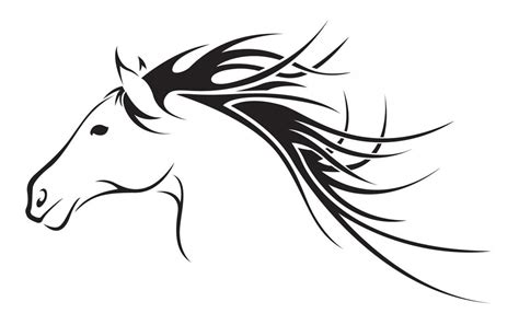 Horse Head Line Drawing at PaintingValley.com | Explore collection of ...