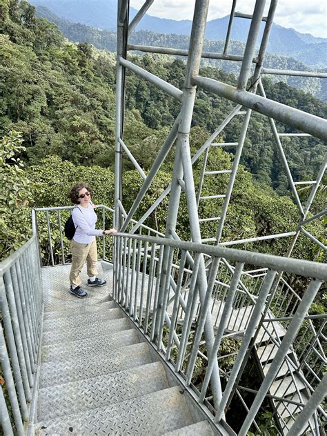 Ecuador: The Longest-Staying Guests at Mashpi Lodge – The Directrice