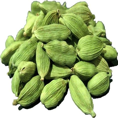 Organic Green Cardamom At Best Price In Dar Es Salaam Dar Es Salaam Tynex International