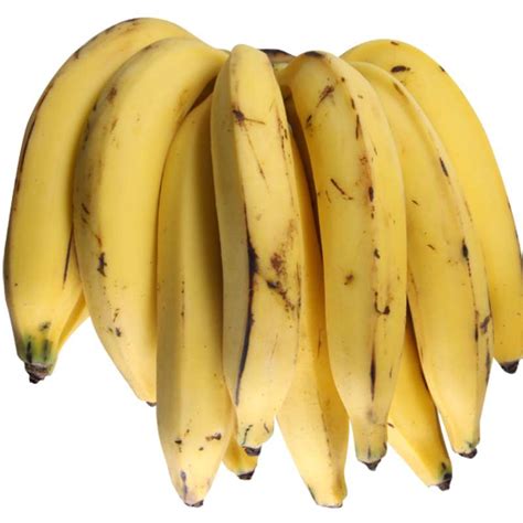 Banana Pacovan É A Mesma Banana-da-terra - Adubação e Plantio da Banana Pacovan – Mundo Ecologia