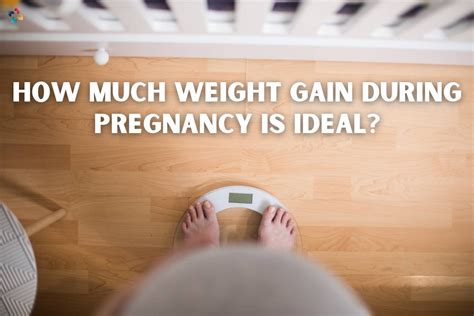 Weight Gain During Pregnancy 5 Important Reasons The Lifesciences