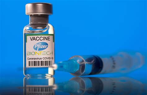 death linked  pfizer covid  vaccine reported   zealand