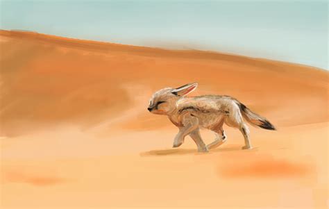 Desert Fox by Nahkuman on DeviantArt