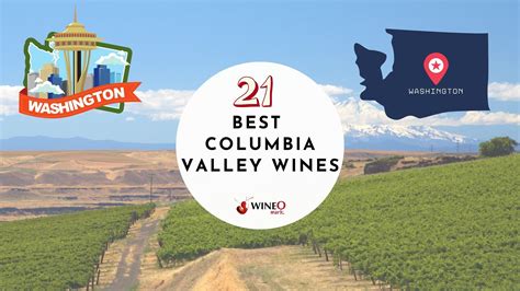 21 Best Columbia Valley Wine | Everything You Need to Know