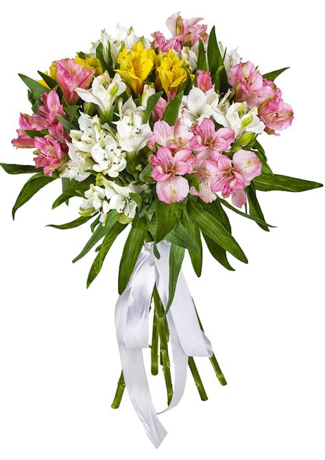 Альстромерия Микс - Love & Flowers