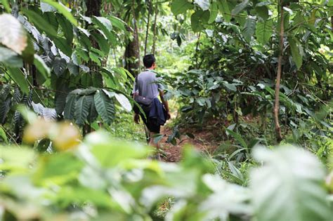 Adventure Trekking Gua Garunggang Curug Leuwi Asih