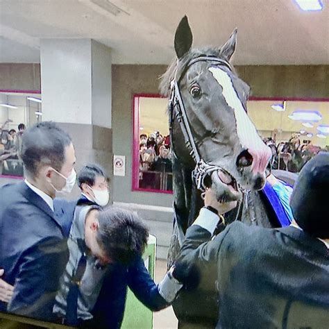 和田稔夫 Toshio Wada 🏇 週刊gallop･サンスポ･夕刊フジ Toshiowada Twitter