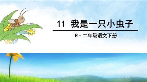 部编版语文二年级下册11 我是一只小虫子ppt课件word文档在线阅读与下载无忧文档