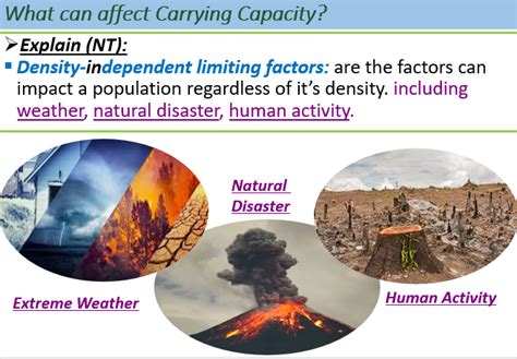 #Ecology# Density-Independent Factors | Ecologia