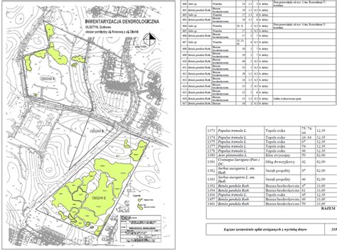 Inwentaryzacje dendrologiczne z gospodarką drzewostanem