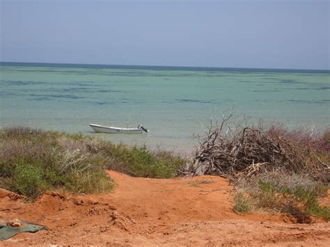 Denham - Australia | Western australia, Australia, Outdoor