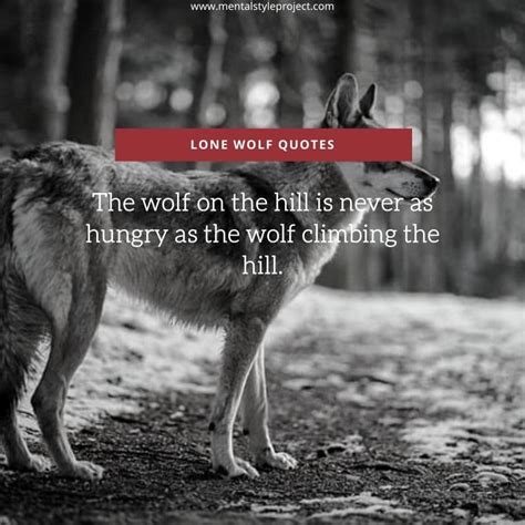 40+ Inspirational Lone Wolf Quotes To Motivate You! - MSP