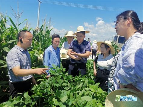 农业农村部种植业管理司刘武来汨罗调研“三秋”生产工作腾讯新闻