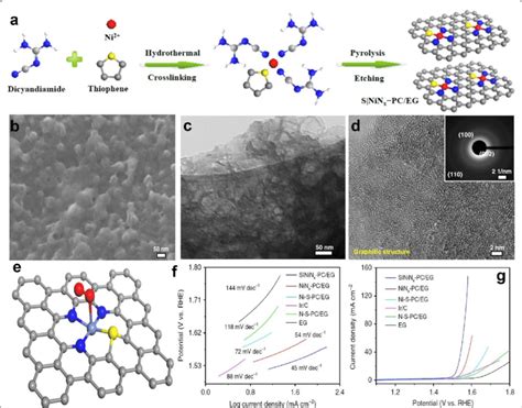 A Schematic Of The Synthetic Route Of Ni N S Doped Porous Carbon B