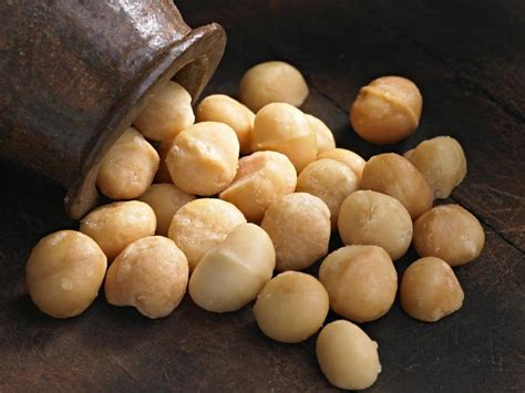 Macadamia Nuts Details Health Benefits Exploring The World Of