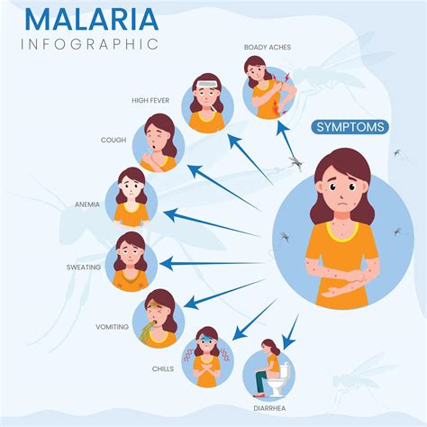 Malaria Symptoms Infographic Identifying Key Signs of Malaria for Early