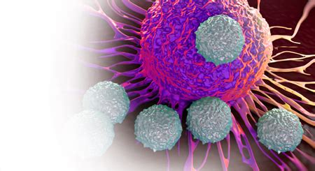 oncology png transparent oncologypng hdpng