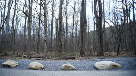 Great Smoky Mountains National Park parking fees begin March 1