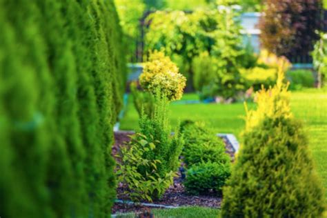 home homeleigh garden centres