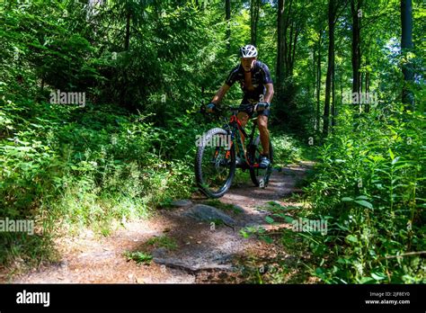 Mountain Biker On Tour In The Palatinate Forest Germany Stock Photo