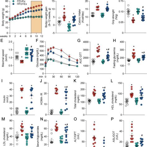 Exercise Decreased The Severity Of Hfd Induced Nafl A Body Weight B