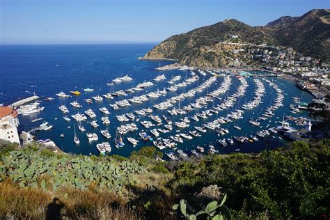 Top Activities on Catalina Island | Trekaroo