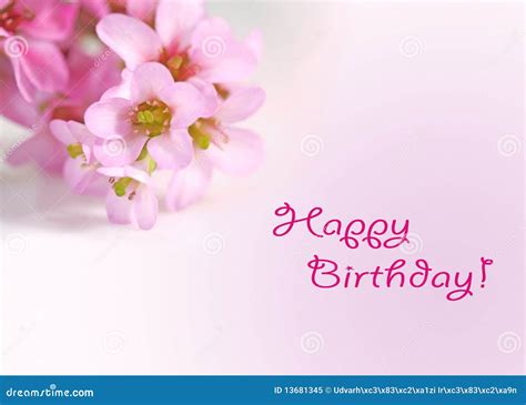 Happy Birthday Greetings Card With Flowers Stock Image - Image: 13681345