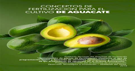 Conceptos De FertilizaciÓn Para El Cultivo De Aguacate [pdf Document]