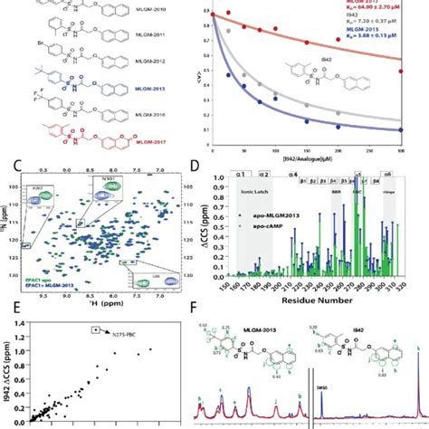 Independent Validation Of The Qsar Model A Molecular Structures Of