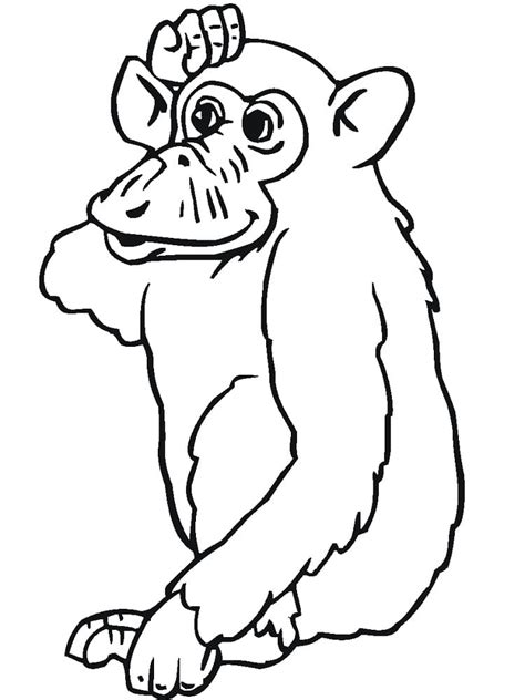 Desenhos de Pequeno Chimpanzé para Colorir e Imprimir ColorirOnline