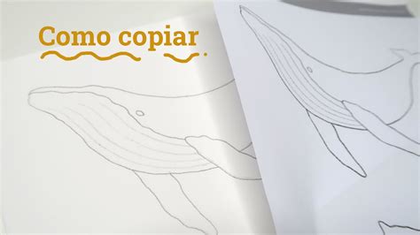 Como Transferir Desenho Para O Papel Aquarela YouTube