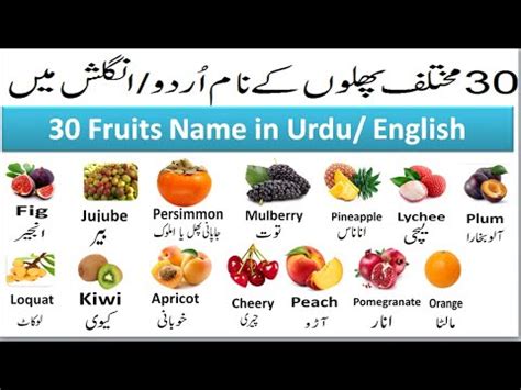 Fruits Name In Urdu Fruits Name In Hindi Fruits Name In English