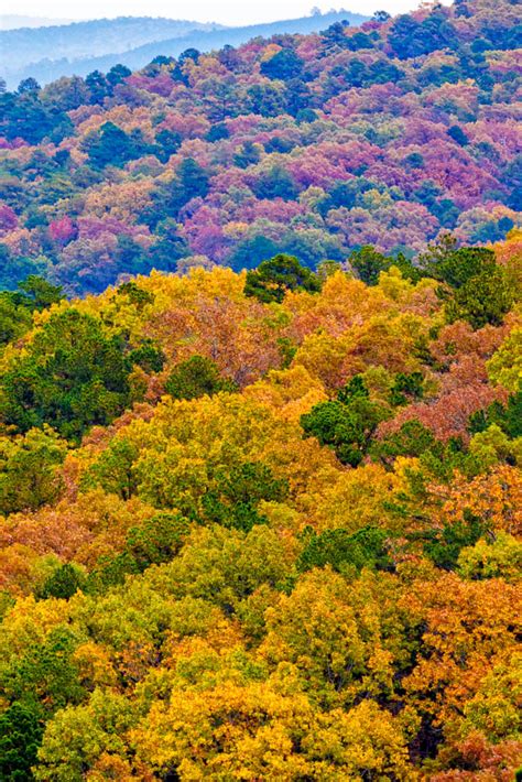 Ouachita National Forest - Bob Henry Photography