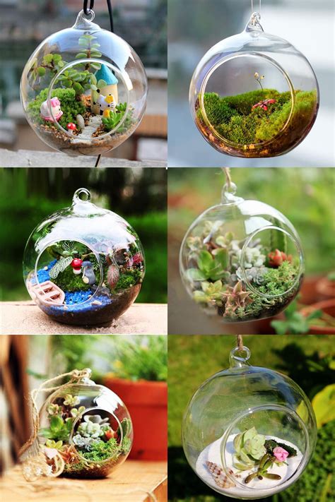 Visit To Buy New Ball Globe Shape Clear Hanging Glass Vase Flower Plants Terrarium Container