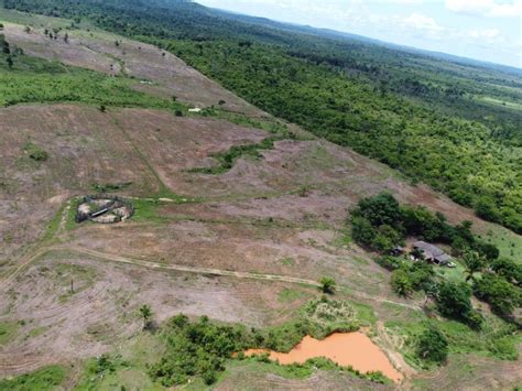 S Tio Para Pecu Ria E Agricultura Em Peixoto De Azevedo Mt