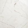 Ivy Hill Tile Saroshi Statuario Venato 23 62 In X 23 62 In Polished