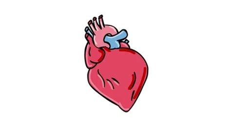 Beating Heart Cartoon 2D Animation | Stock Video | Pond5