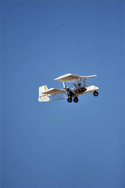 imported flying flea   impression bendigo advertiser bendigo