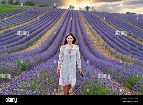 Lavanda En Flor Hi Res Stock Photography And Images Alamy