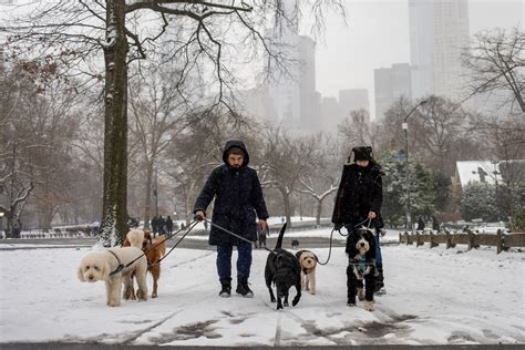 Winter Storm Warning For Millions With Inches Of Snow To Hit New York