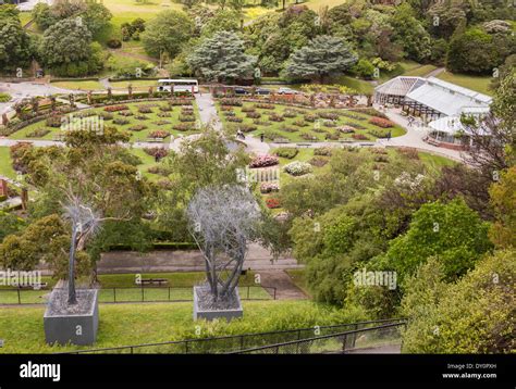 Lady norwood rose wellington botanic garden hi-res stock photography and images - Alamy