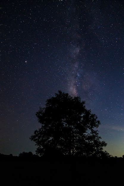 Paysage Avec Ciel Toil De Nuit Et Silhouette D Arbre Sur La Colline