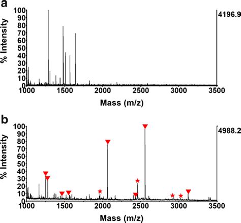 Maldi Tof Ms For Phosphopeptides From Mixture Of β Casein Digests And