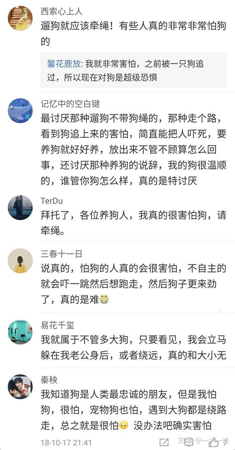 转发这篇！让怕狗人知道遇到陌生狗该怎么办 知乎