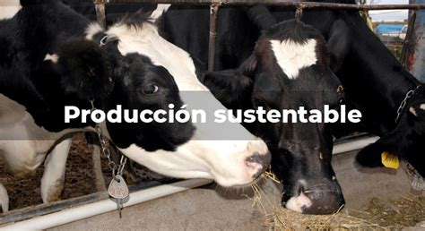 Tecnolog A En Forraje De Calidad Para Producir Leche Bajo El Bienestar