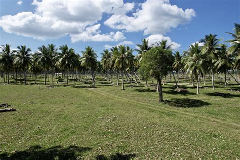 5 Acre-Eco-Lifestyle Land Vanuatu - Northern Vanuatu Real Estate