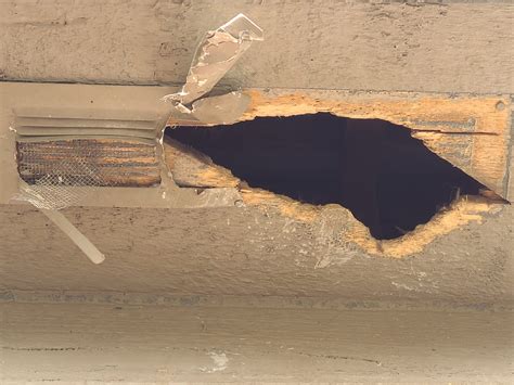 Cleveland Ohio Wildlife Removal - Pestway Wildlife Removal